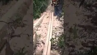 Making Lumber In The Philippines Part 6 #chainsaw #stihl  #philppines