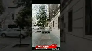 волки захватили мир😭😭😭😭😭😭😭😭😭😭😭