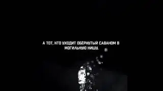 Стихи поэта (СТРАННИК)