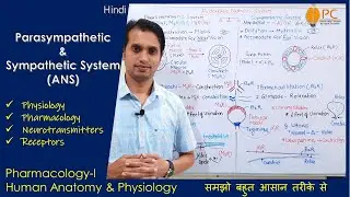 Autonomic Nervous System | Physiology & Pharmacology of Sympathetic & Parasympathetic nervous System