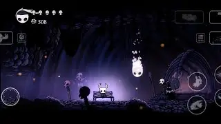 Hollow knight 