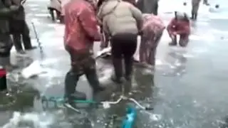 Ловля сома из подо льда