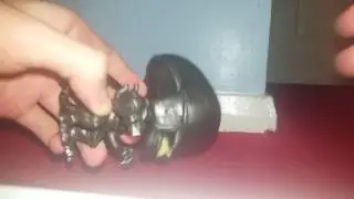 Alien! Funko POP review