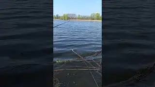 #рибалка