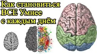 Как быть умным каждый день и стать творческим – Как сделать себя умным и стать креативным