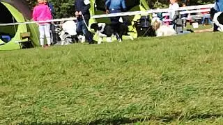 Platon na wystawie we Wrocławiu (3 miejsce)