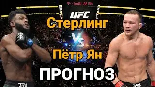 Прогноз на бой Алджамэйн Стерлинг vs Пётр Ян 2 | разбор и анализ боя Алджамэйн Стерлинг vs Пётр Ян 2