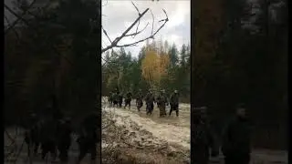 «Василий Теркин»