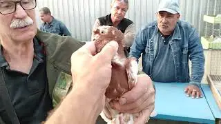 31.08.2024г Ярмарка Коротенький обзор 2