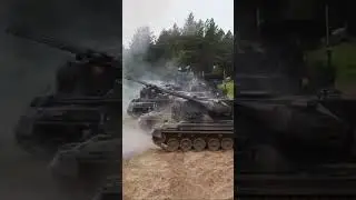 The German Gepard. 