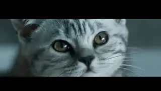 Реклама Whiskas | Вискас