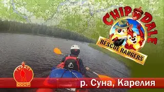 Чип и Дейл на Суне