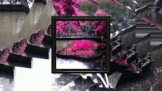 Compression - Akihiko Matsumoto