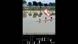 Kita bisa mengambil pelajaran dari video ini 