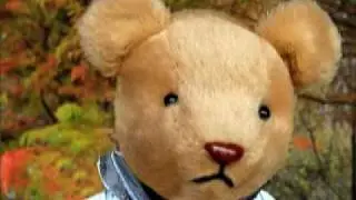 Teddy Adventures