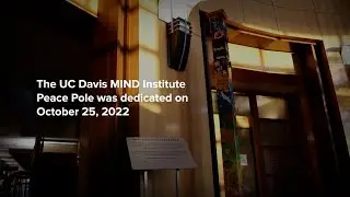 UC Davis MIND Institute Peace Pole Project
