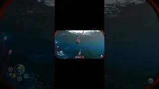 Обезьяна гопник 😄😄👍