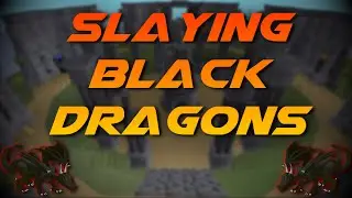 Slaying Black Dragons | Testing OSRS Wiki Money Making Methods