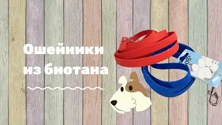 Ошейники из биотана
