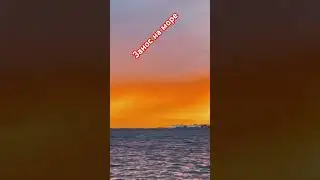 морюшко