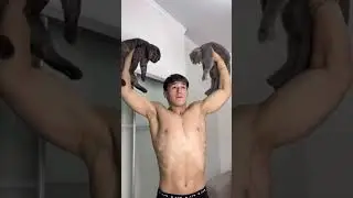 КАК НАКАЧАТЬСЯ С КОШКАМИ?