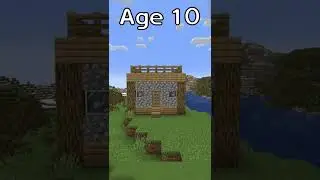 Houses at Different Ages (World's Smallest Violin) #shorts