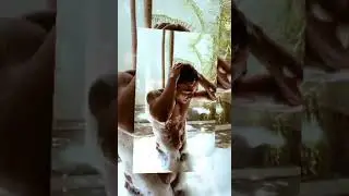 Rohit zinjurki gangster 👿🚬 looking 🥵 watsapp status video 🥵🥵 