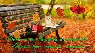 Ласковая осень