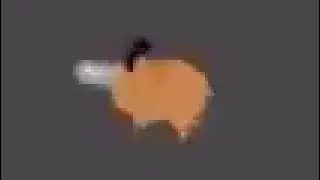 pochitaxd