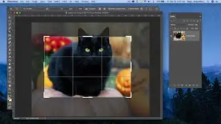 Photoshop CC 2020 - Crop Tool