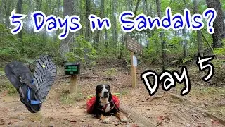 Day 5 - 5 Days Thru the Smokies in Sandals (Appalachian Trail)