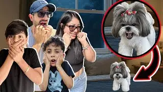 KIMA no DEJA de SONREIR | Family Juega