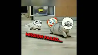 BRUHH MISSION FAILED... 😳 || TROLLZY || #shorts #trollface
