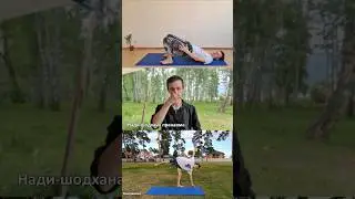 УЛУЧШИТЬ ПИЩЕВАРЕНИЕ, НАУЧИТЬСЯ РАССЛАБЛЯТЬСЯ • Курс с 1 мая!