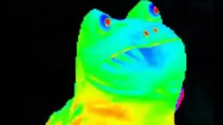 Mlg frog /get out frog