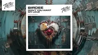 Birdee - Don’t You Want My Love