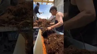 Garden Soil Processing#gardening  #farming #agriculture