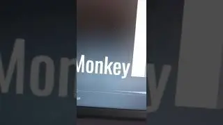 MTSG - Monkey Monday (Official Preview)