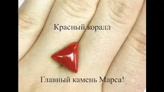 🔴 Красный коралл - главный камень Марса!