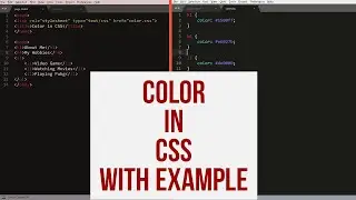 COLOR in CSS With Example