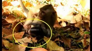 Tarzana steal baby sis Janet&run so fast make Janet fall down hit ground hurt&cry call mom help