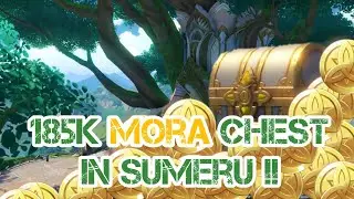 185k Mora Chest in Sumeru City Location [Genshin Impact]