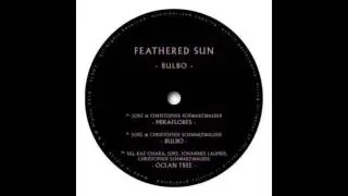 Feathered Sun ‎– Bulbo (Original mix) | Platon Records