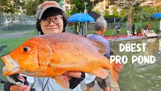 D'best Pro Pond: Crazy fish took my bait and another angler's lure at the same time!! #sgfishing