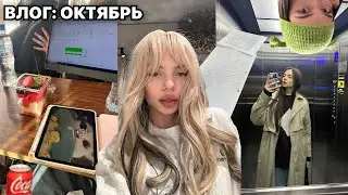 октябрьский влог