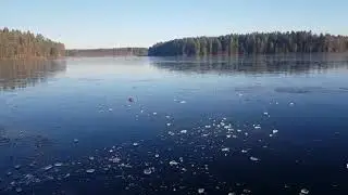 Инопланетные звуки под Санкт-Петербургом