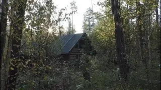 Hut repairs. Bear on a camera trap. Household work.