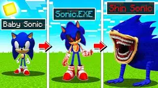 SHIN SONIC EVOLUTION - Minecraft