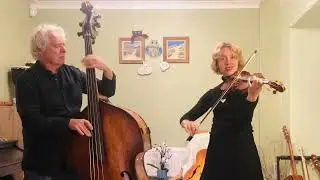 Wave - Bossa Nova violin improv