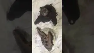 Водяной насос (помпа) Газ 53